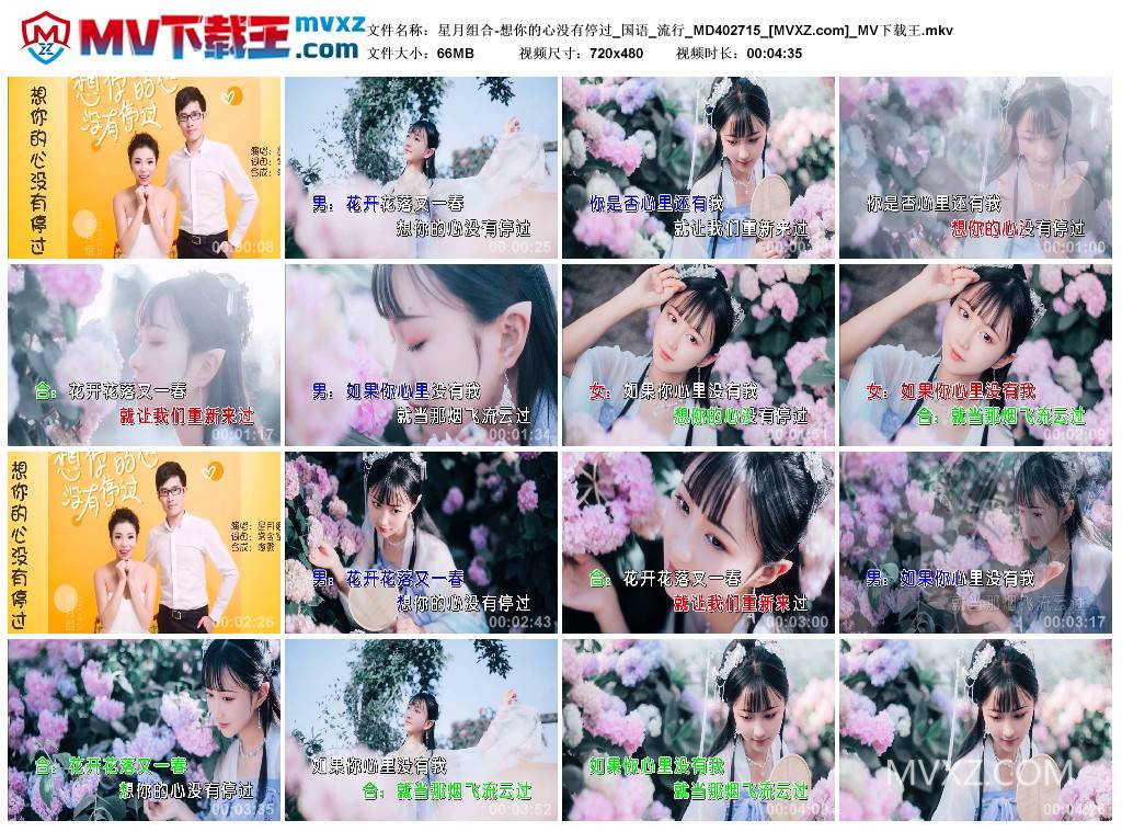 星月组合-想你的心没有停过_国语_流行_MD402715